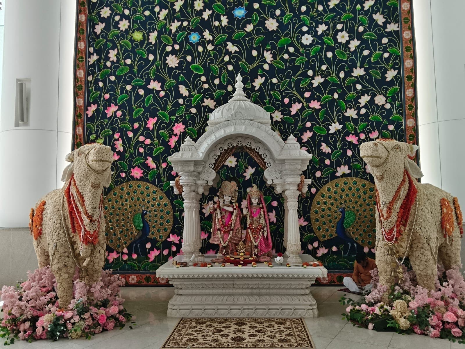 Photo 16 of 29 from Kailash Rajput's gallery